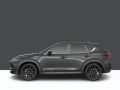 CX 5