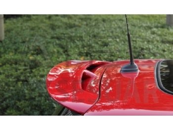 Mini Cooper R 56 Cooper Spoiler Boyalı