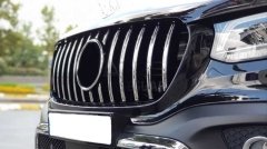 MERCEDES W470 X-CLASS GTR PANJUR