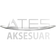 VW Tiguan Krom Ön Tampon Çıtası 2020 Üzeri (Mat Krom)