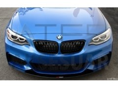 BMW F22 M Ön Lip