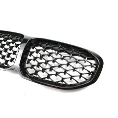 BMW 1 SERISI F40 2019+ DIAMOND PANJUR (BÖBREK)