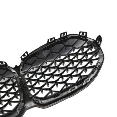 BMW 1 SERISI F40 2019+ DIAMOND PANJUR (BÖBREK)