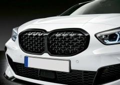 BMW 1 SERISI F40 2019+ DIAMOND PANJUR (BÖBREK)
