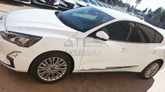 FORD FOCUS 2019+ NIKELAJ KAPI ÇITASI