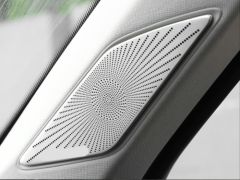 GOLF 8 IÇIN UYUMLU HARMAN KARDON  TWEETER KAPLAMA - SILVER  (Life,Style,Impression Paket için)