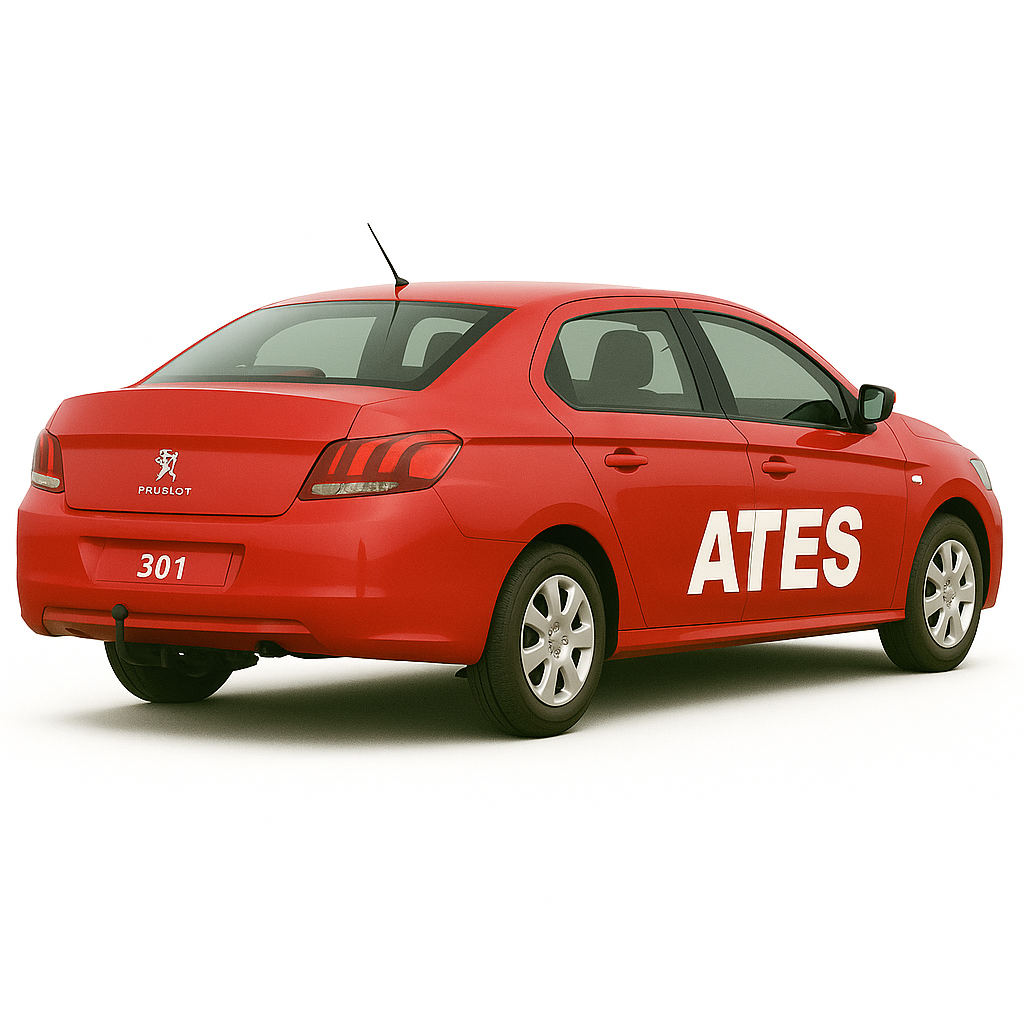 PEUGEOT 301 ÇEKİ DEMİRİ