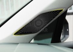 VOLKSWAGEN GOLF 8 HARMAN KARDON TWEETER KAPLAMA - TITANYUM SIYAH (Life,Style,İmpression Paket için)