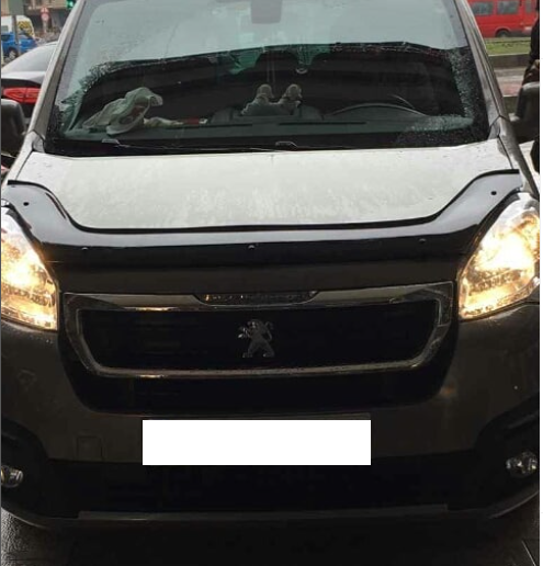 Peugeot partner ÖN KROM KORUMA