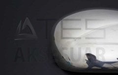 Chery Alia Krom Ayna Kapağı 2 Parça 2006 ve Sonrası