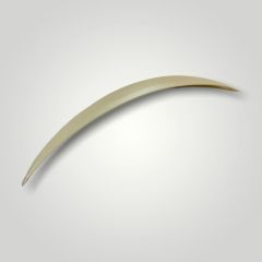 W205 C SERISI IÇIN ANATOMIK SPOILER